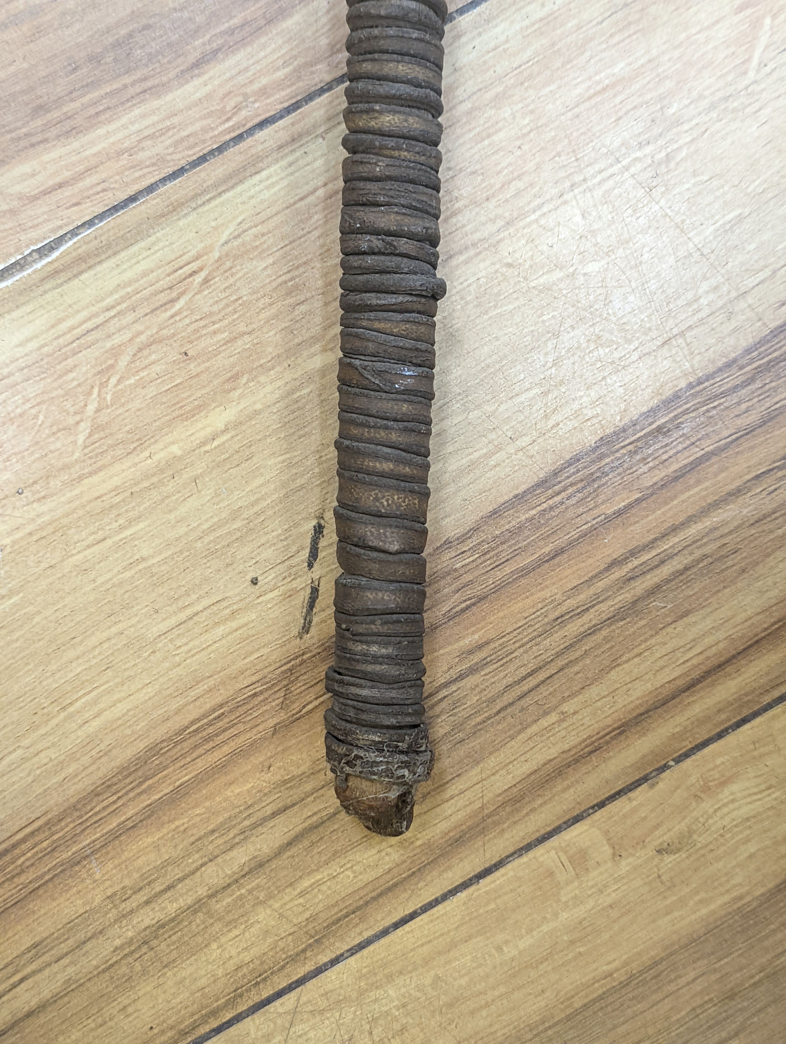 Two East Africa, Transvaal (Zululand) spears, 236cm
